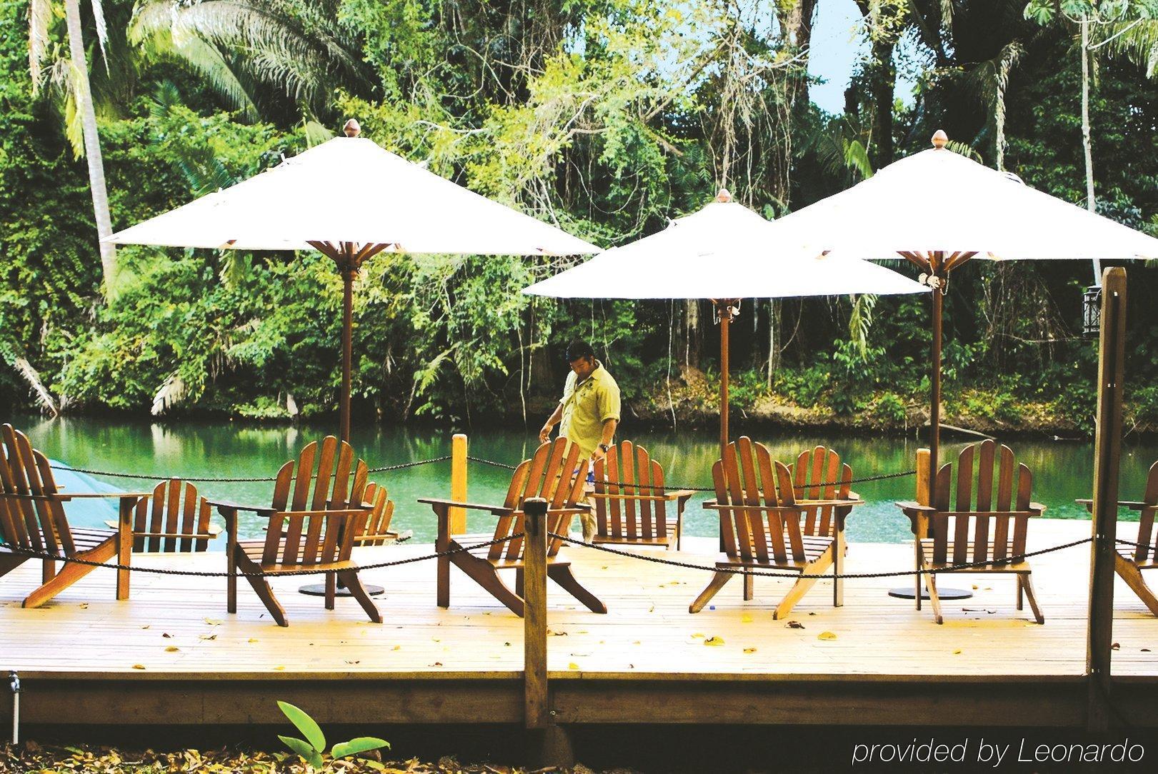 Machaca Hill Rainforest Canopy Lodge ปุนตากอร์ดา ภายนอก รูปภาพ