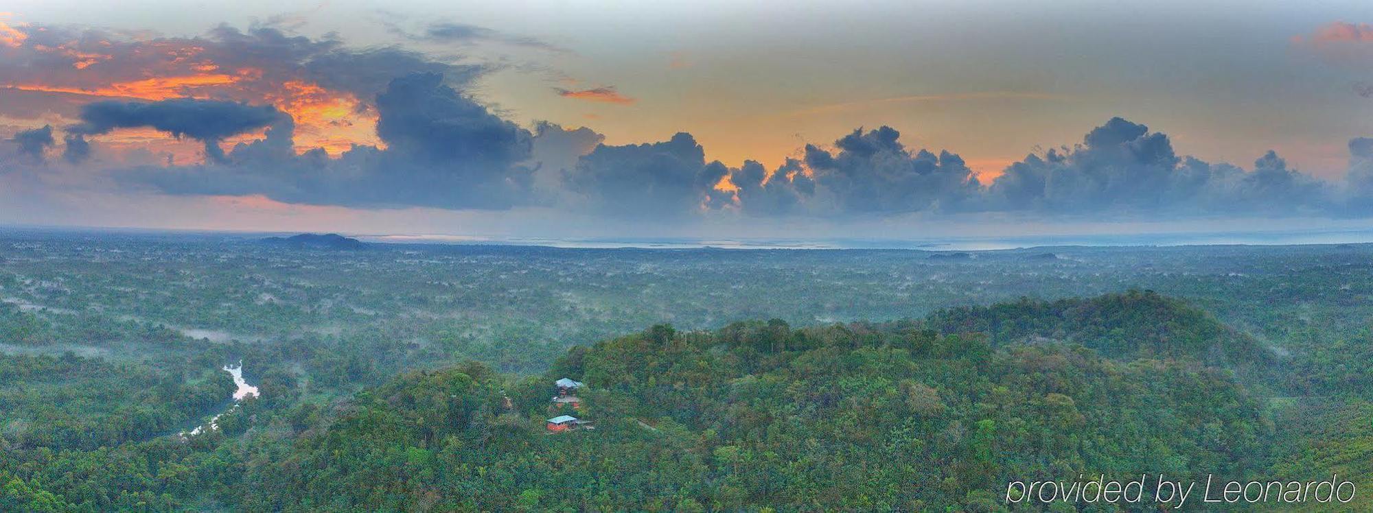 Machaca Hill Rainforest Canopy Lodge ปุนตากอร์ดา ภายนอก รูปภาพ